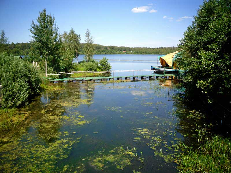 Медвежьи озера фото пляжа